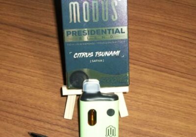 Modus-Presidential-Blend-Disposable-5gg