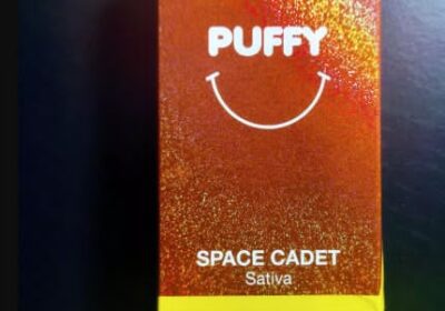 Qwin-Super-Blend-Disposable-2gg