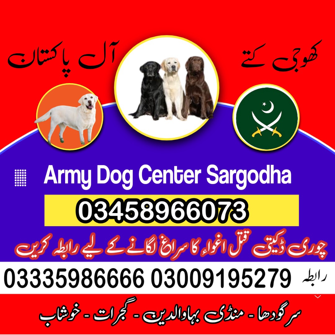 Army Dog Center Sargodha 03009195279