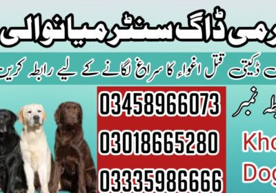 business-card-روحانی-معالج-landscape-1734632590753