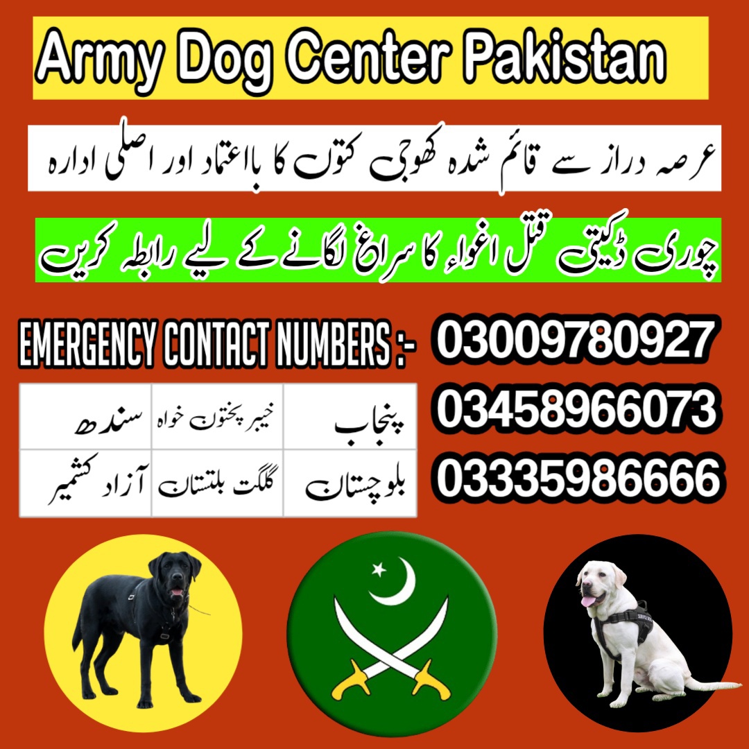 Army Dog Center 03009195279 | Call Now | Khoji Dogs