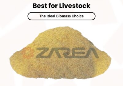 508488649_122187010184050120_3153130426513279862_n-2