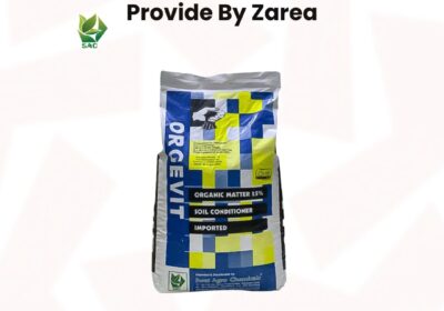 596407534_122202321854050120_1927225507444662045_n