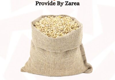 601479086_122203779902050120_9206638042390031730_n