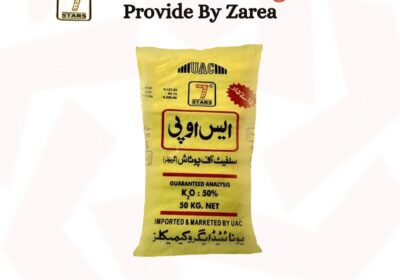 606689445_122204036462050120_460235816327864664_n