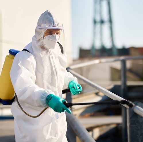 Exterminator Pest Control Near Me In Karachi