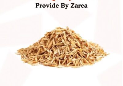 554653526_122196171014050120_3353712824875281518_n-1