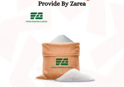 607970054_122204284814050120_3860509266903389986_n