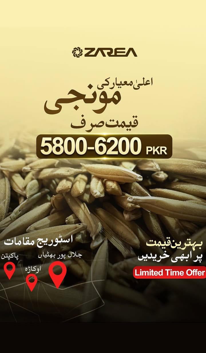 Munji (منجی) – Buy Online on Zarea Limited