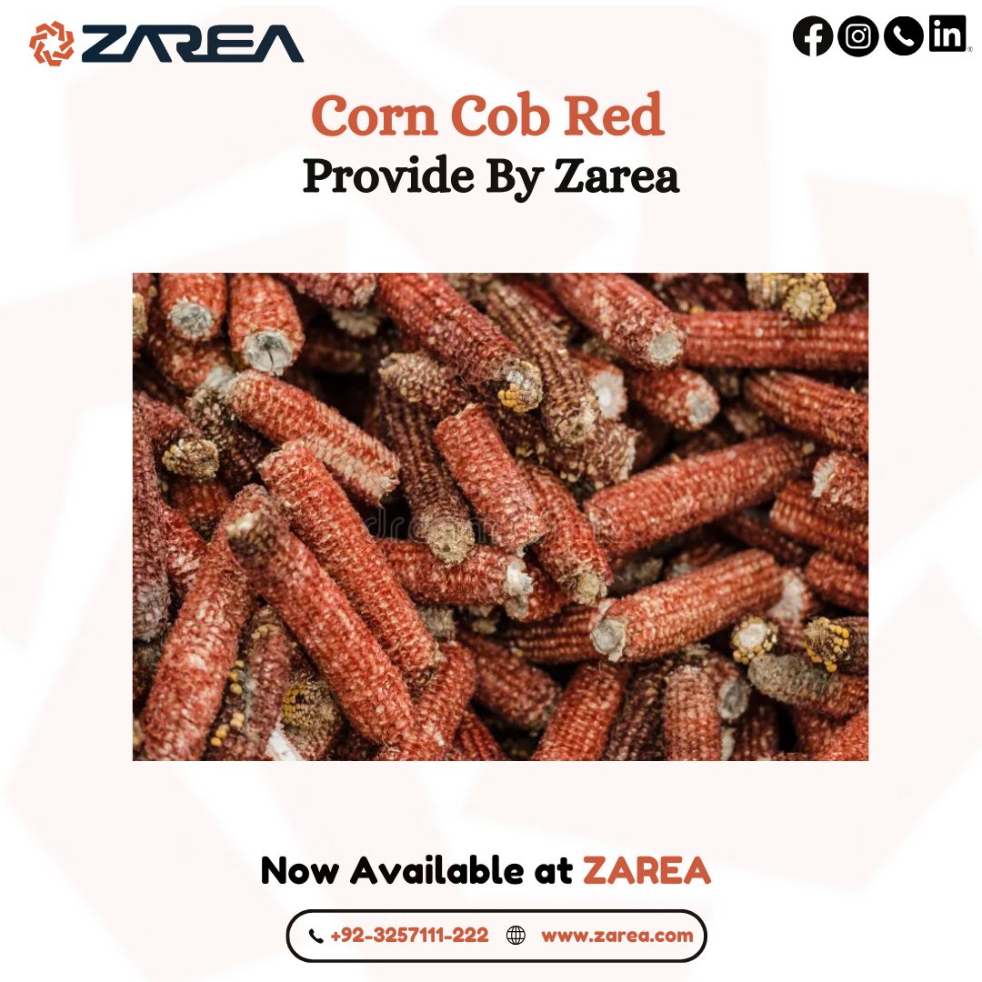 Red Corn Cob for Sale – Zarea Limited