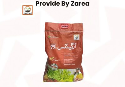 626124689_122206878926050120_3796718570917111508_n