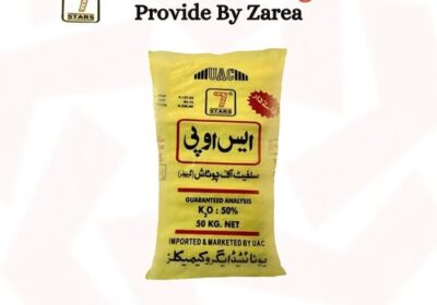 631073429_122207441714050120_4869053394973755484_n