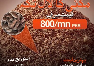 634169187_1218090327197778_1611826547765595153_n