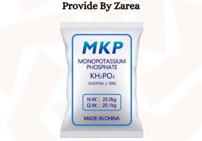 637520676_122208020654050120_4329599797435554066_n