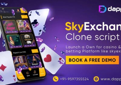 skyexchange-clone-script